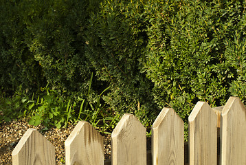 Image showing Wooden decorative fence and green garden