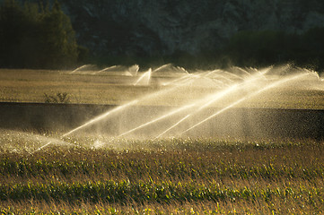 Image showing Irrigation systems on sunset