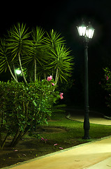 Image showing Night picture of the lamp in the park