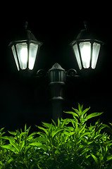 Image showing Night picture of the lamp in the park