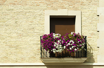 Image showing Classic balcony with flowers