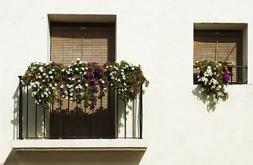 Image showing Classic balcony with flowers