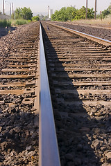 Image showing Bird on the Railroad Tracks