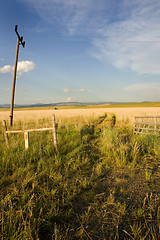 Image showing Field in Helena