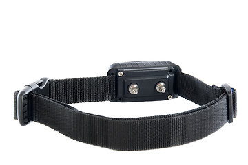 Image showing electronic collar