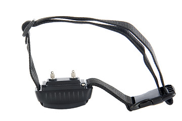 Image showing electronic collar