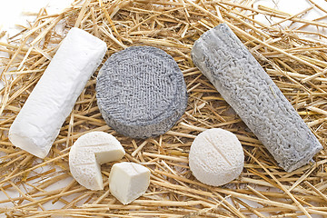 Image showing goat cheeses