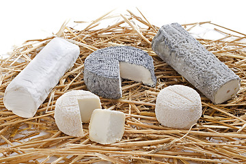 Image showing goat cheeses