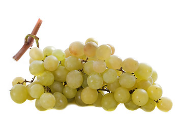 Image showing italia grapes