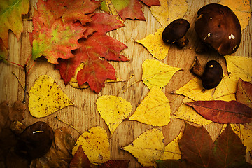 Image showing Leaves on a board