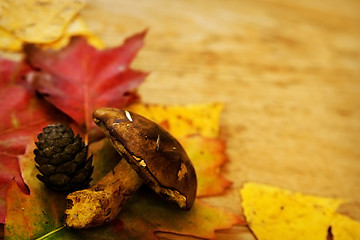 Image showing Leaves on a board