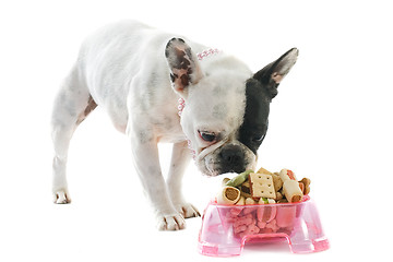 Image showing french bulldog and pet food