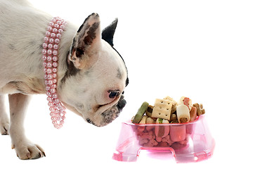 Image showing french bulldog and pet food