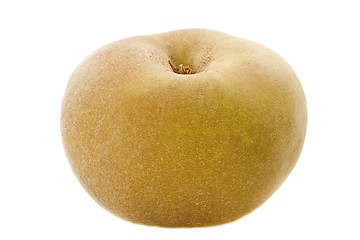 Image showing Golden russet apple