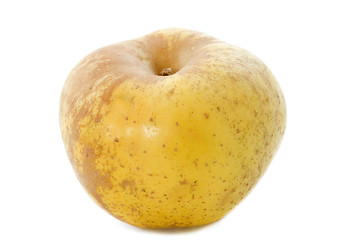 Image showing Golden russet apple