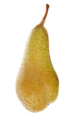 Image showing conference pear