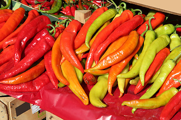 Image showing Peppers