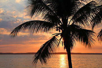 Image showing Tropical sunset