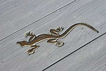 Image showing Lizard background