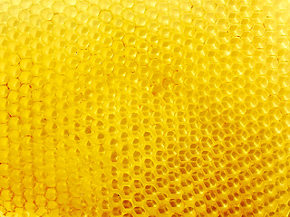 Image showing Honeycomb with empty cells