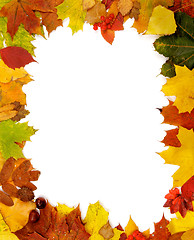 Image showing Frame of Autumn Leaves