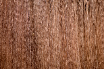 Image showing hair background