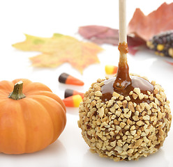 Image showing Halloween Treats