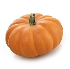 Image showing Pumpkin