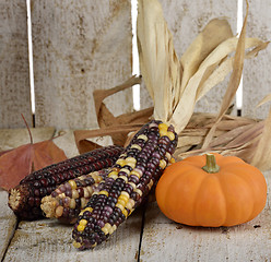 Image showing Indian Corn And Pumpkin