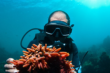 Image showing Scuba diver holding sea cucumber