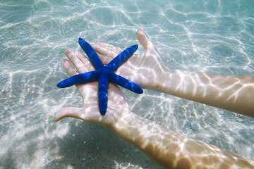 Image showing blue starfish on palms