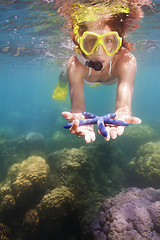 Image showing snorkeler showing blue starfish