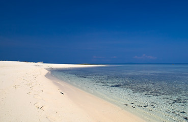 Image showing Tropical beach