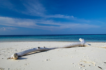 Image showing Tropical beach