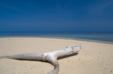 Image showing Tropical beach