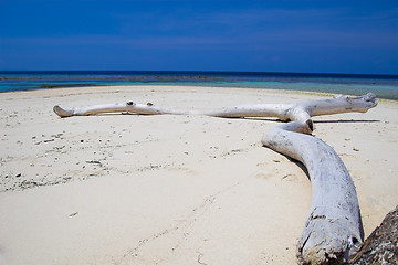 Image showing Tropical beach