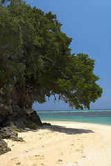 Image showing Tropical beach