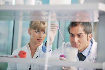 Image showing science people in bright lab