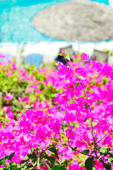 Image showing romantic balcony with flowers and pool view