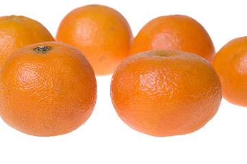 Image showing Tangerines