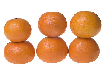 Image showing Tangerines