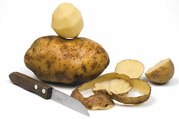 Image showing Potato