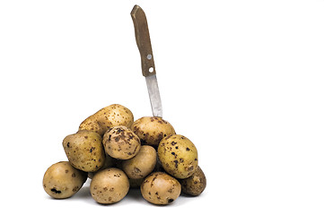 Image showing Potato