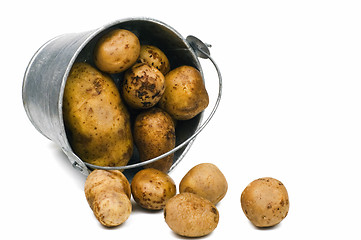 Image showing Potato