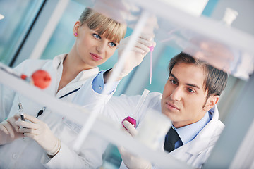 Image showing research and  science people  in laboratory