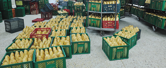 Image showing bread factory production