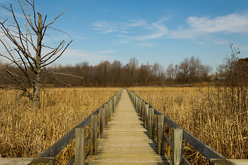 Image showing Boardwalk over a marsh