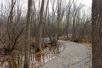 Image showing Nature trail in the park