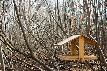Image showing Bird feeder in the forest