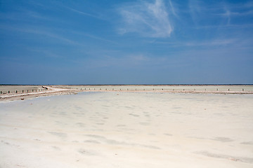 Image showing Etosha pan